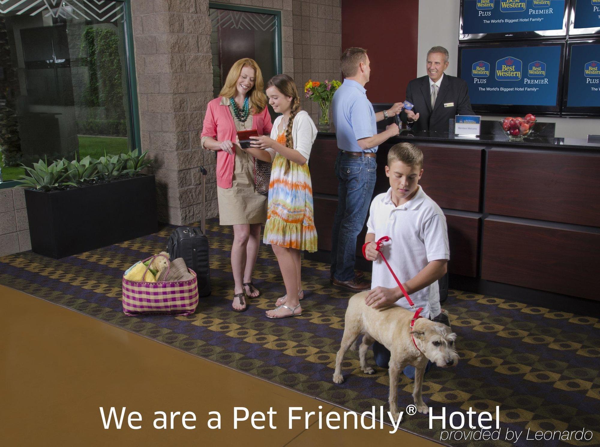 Hotel Best Western Plus Concord Minocqua